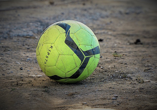 会辨识这些 会辨识这些