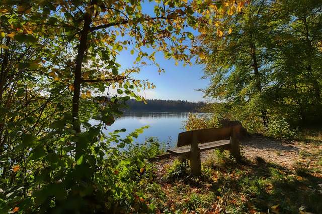 这一趋势 这一趋势