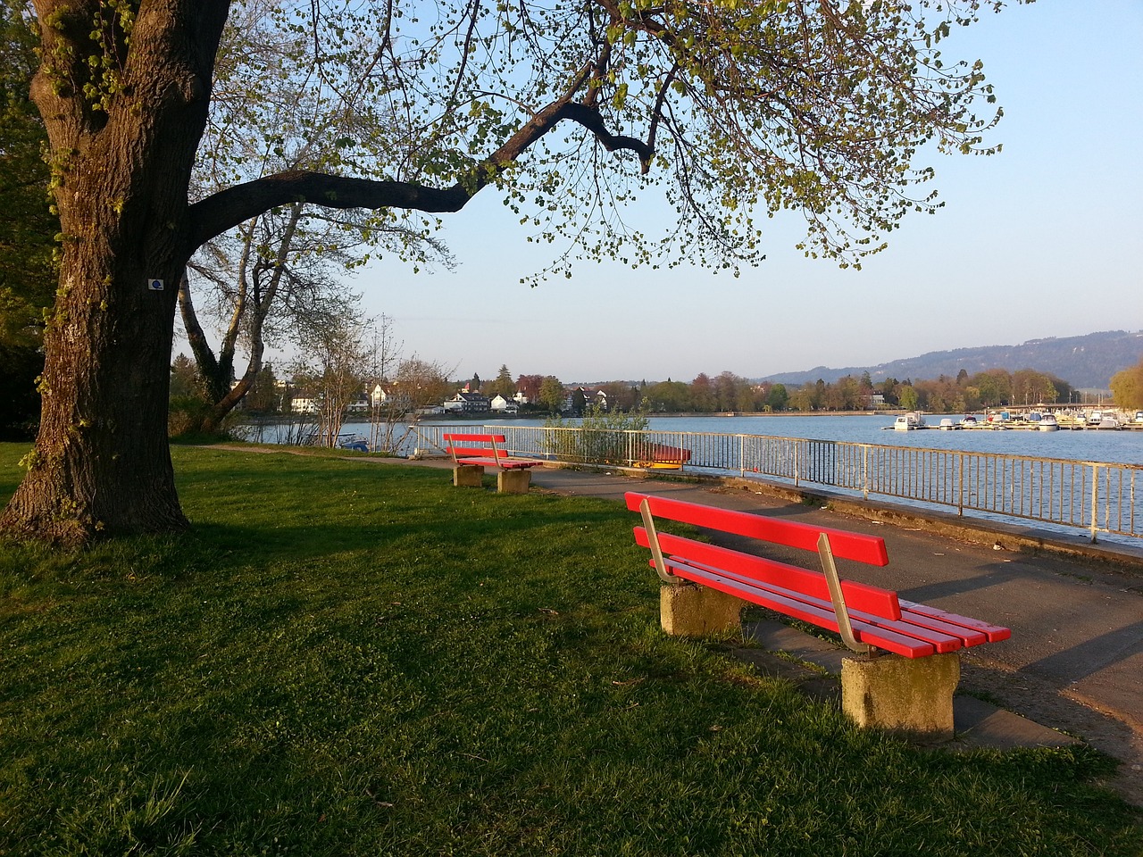 以未雨绸缪 以未雨绸缪