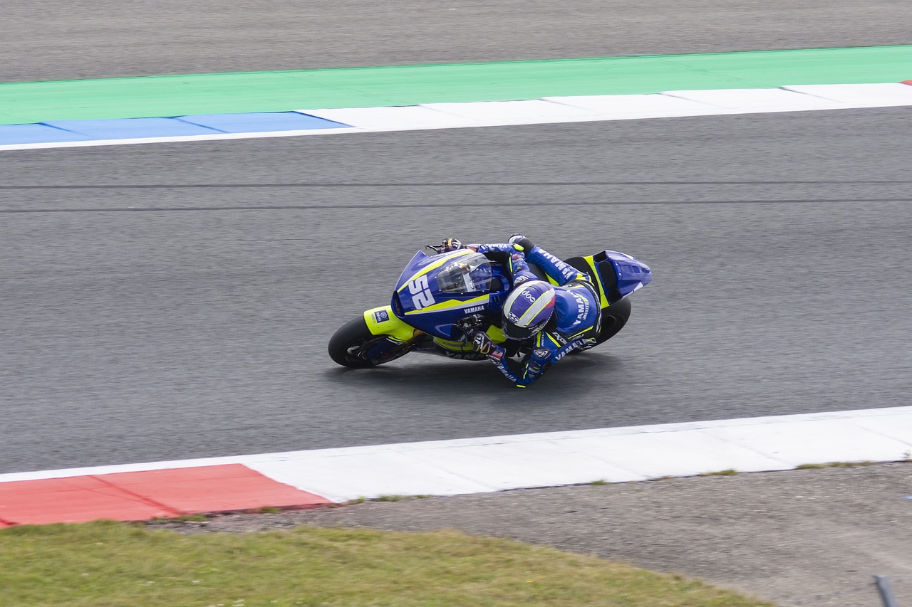 的身体对抗 的身体对抗