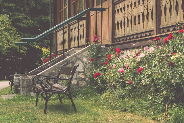 在比賽進行 在比賽進行