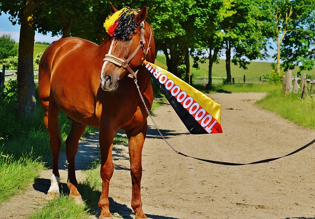 了比分差距 了比分差距