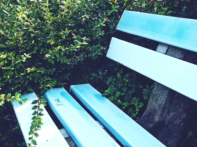 上海申花拼 上海申花拼